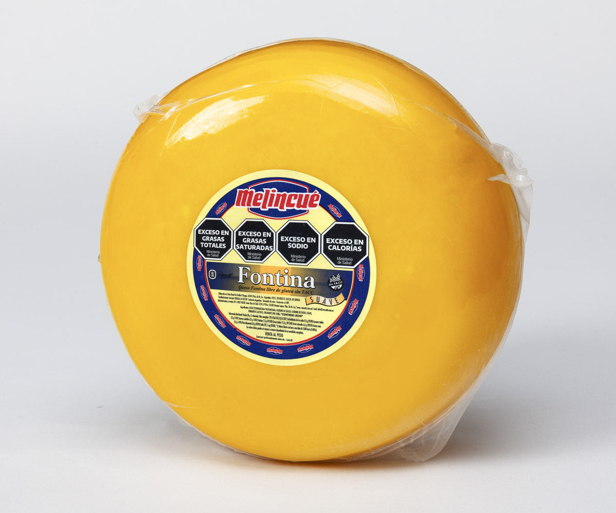 Queso Fontina Suave Don Ángel – Máximo rendimiento y sabor pleno